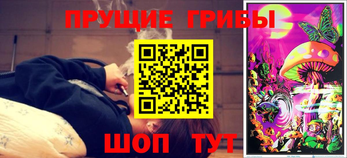 Кострома  Галлюциногенные грибы мухоморы  Вход с VPN 